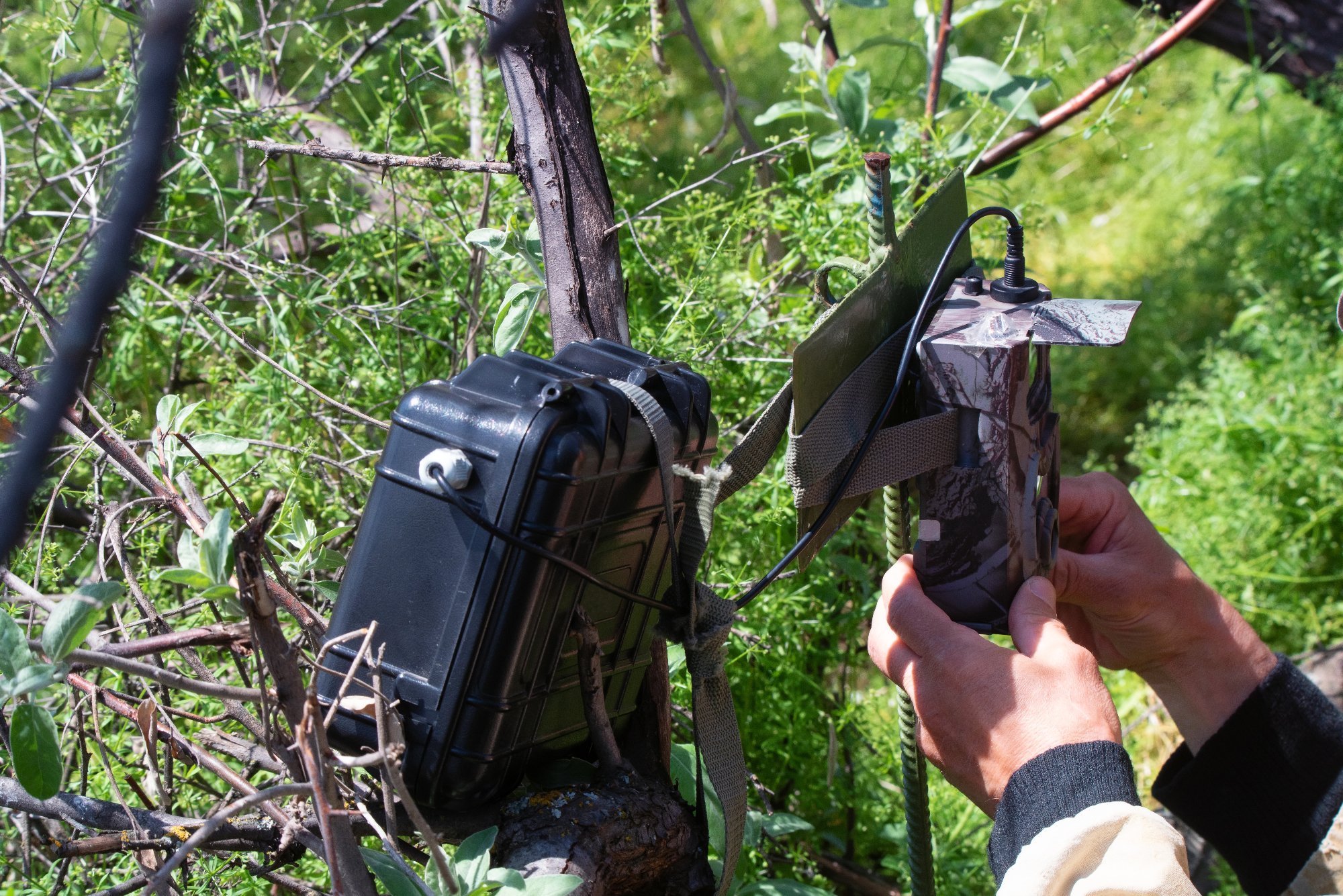 Lovska kamera je zelo uporaben pripomoček pri lovu