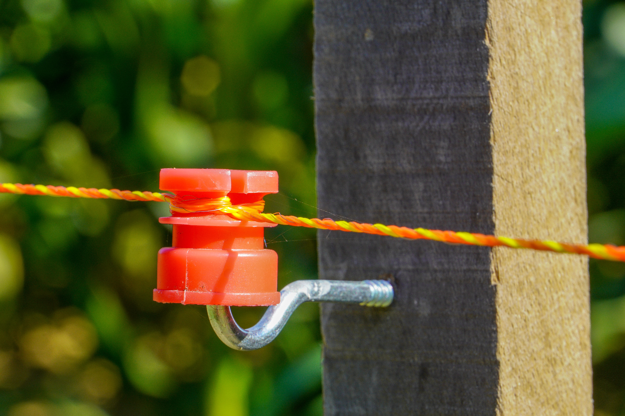 Postavljen električni pastir varuje živali